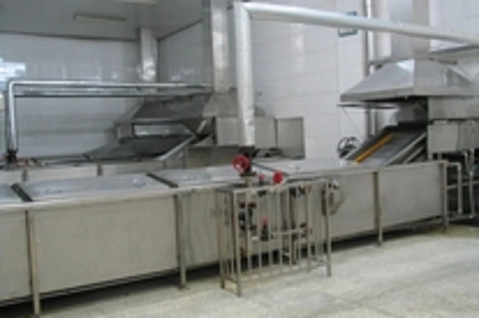 Fruit Blanching Machine001 Fruit Blanching Machine001