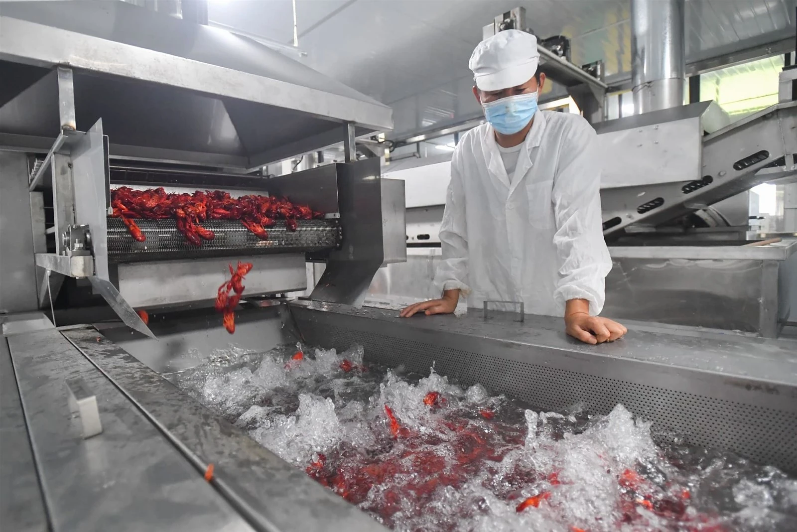 Crayfish Processing Equipment 1 1 Crayfish Processing Equipment 1 1